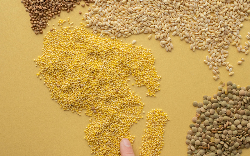 Practical Millet Recipes for Everyday Indian Meals